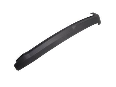 Hummer 94734595 Rear Molding