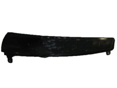 Chevy 15895307 Side Molding