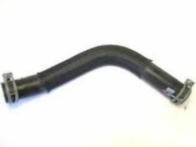 GMC 25757838 Lower Hose