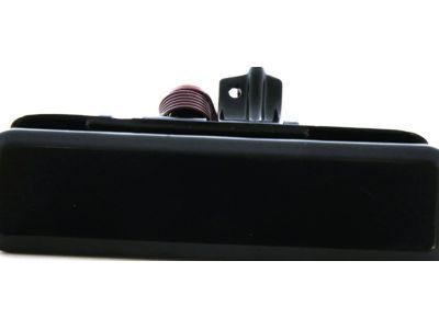 GMC 15719666 Handle, Outside