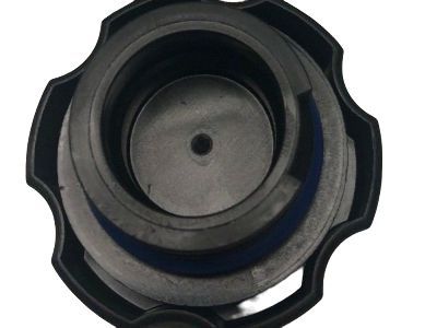 Chevy 12555685 CAP,OIL FILLER(INCLUDES 261)(W/SEAL)