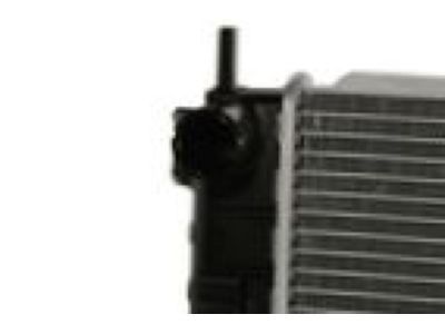 GM 52494386 Radiator Assembly Poa (Part To Change To Nickel Plated Or Bright