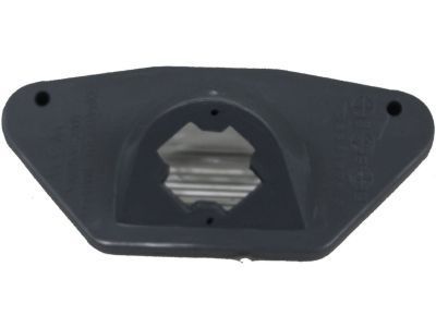 GMC 16519986 License Lamp