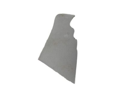 Chevy 25787788 Lower Panel