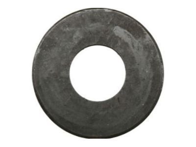 Chevy 14012699 Side Washer