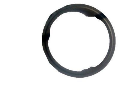 Chevy 55570704 Converter & Pipe Seal