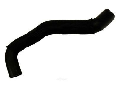 Chevy 15205921 Lower Hose