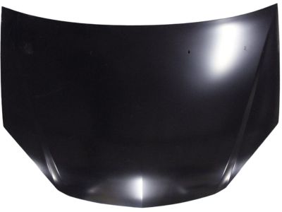 Pontiac 15801208 Hood