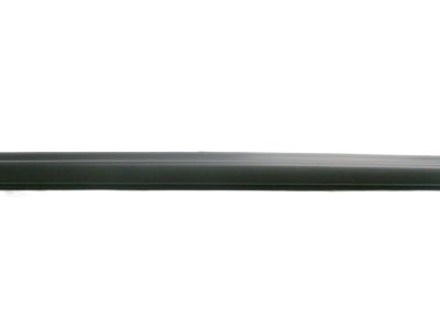 GM 20835976 Weatherstrip, Rear Side Door Lower Auxiliary