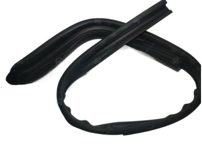 Pontiac Door Seal - 95980733