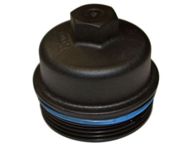 Buick 55593190 Cap