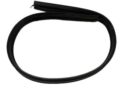 GM 15983928 Weatherstrip Assembly, End Gate Window