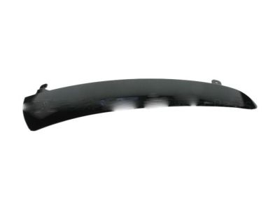 Buick 25796406 Side Molding