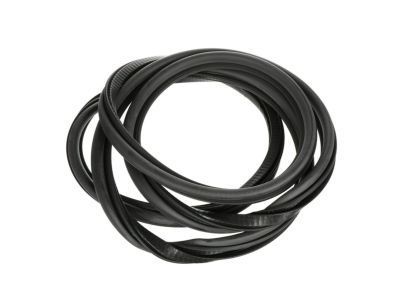 GMC 15161704 Door Weatherstrip