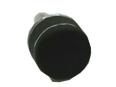 Buick 22509532 Knob