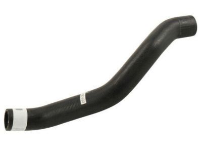 Chevy Radiator Hose - 25822191