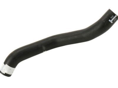 Chevy 25822191 Upper Hose