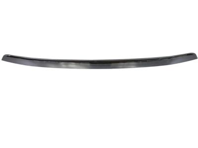 GMC 10365423 Molding Strip