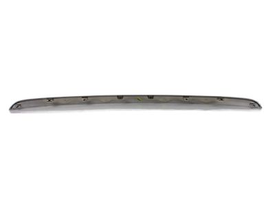 GM 10365423 Strip, Front Bumper Rubber *Chrome