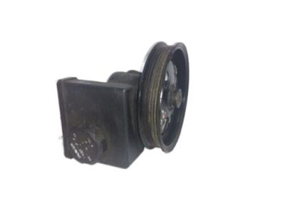 GM 25519310 Pulley Assembly, P/S Pump