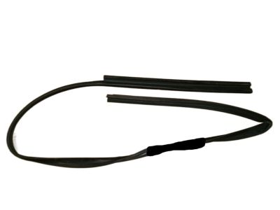 2003 Saturn LW300 Weather Strip - 24419428