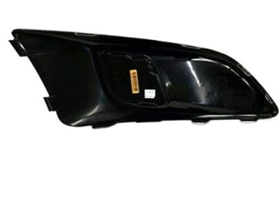 Chevy 96694768 Trim Cover