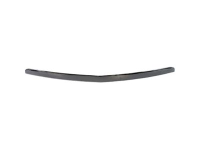 Buick 25807076 Molding