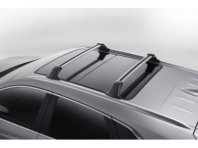 Cadillac 84121220 Luggage Rack