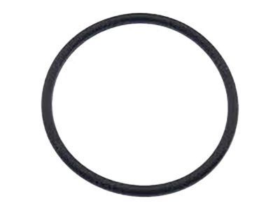 Chevy 19121496 Outlet Duct Seal