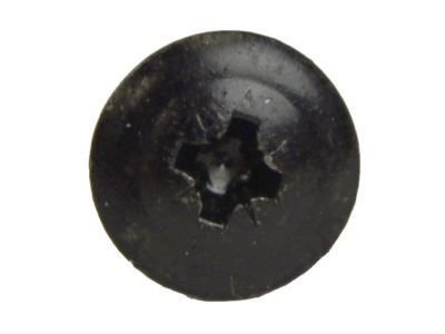 Pontiac 11509231 Belt Weatherstrip Screw