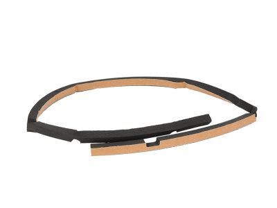 GMC 52458569 Blower Case Seal Strip