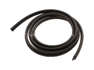 Chevy 15244250 Surround Weatherstrip