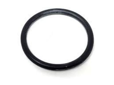 GMC 12625100 Filler Tube Seal