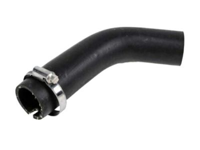 GMC Terrain Fuel Filler Hose - 25802833