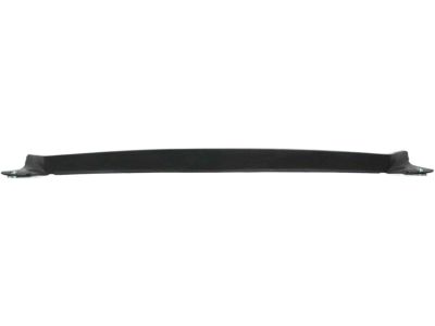 Chevy 15569084 Air Deflector