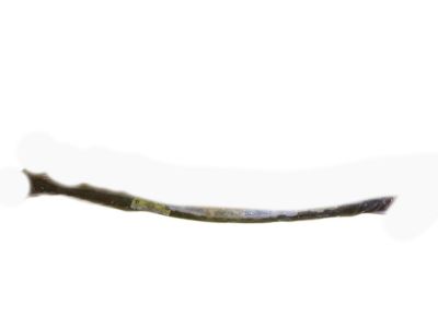 Pontiac 10241820 Sealing Strip