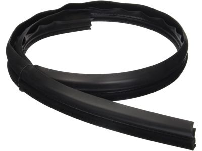 Oldsmobile Intrigue Weather Strip - 10410004