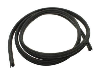 2008 Chevy Trailblazer Weather Strip - 19168173