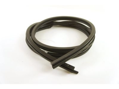 Chevy 15766539 Door Weatherstrip