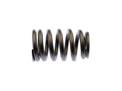 GMC 12706568 Valve Springs