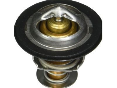 Pontiac 24507563 Thermostat