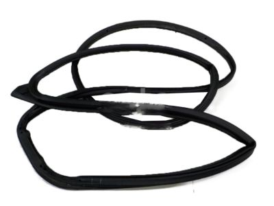 Chevy Spark Weather Strip - 95158823