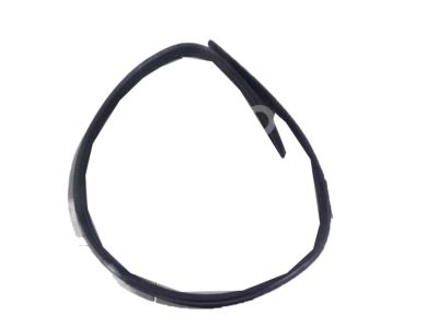 Chevy 95158823 Door Weatherstrip