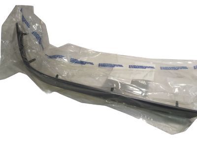 Cadillac 10156795 Rub Strip