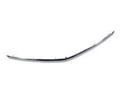 Chevy 92263704 Molding