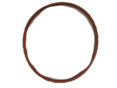 Chevy 10244495 Adapter Seal