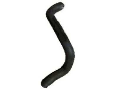 GMC 14036764 Lower Hose