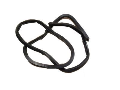 Chevy Impala Weather Strip - 10419497