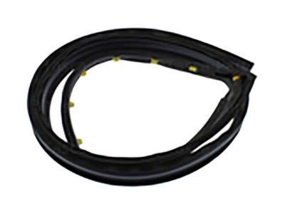 GMC 20816088 Drip Weatherstrip