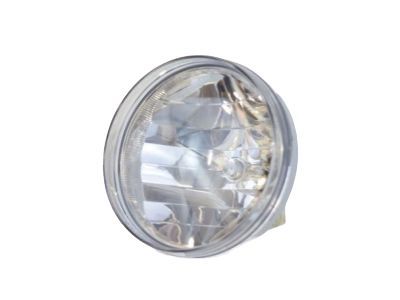 GMC 25866495 Fog Lamp Assembly